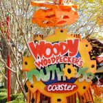 Universal Studios Florida - Woody Woodpeckers Nuthouse Coaster - 004